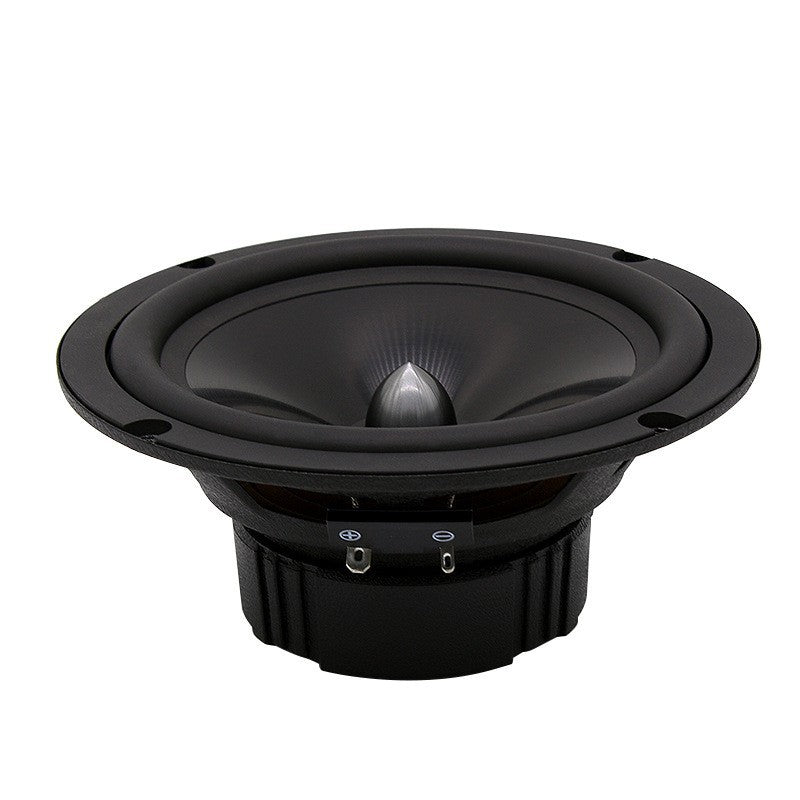 Car Audio Modification Front Door Speaker