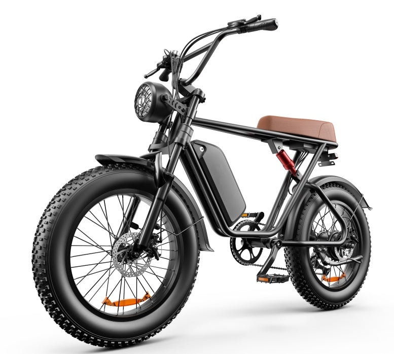 C91 - 20 Inch 20A & 17.5A Electric Bike----Buy Styles, Please See Details