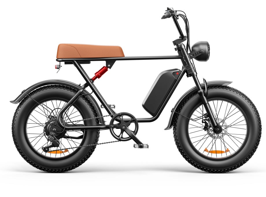 C91 - 20 Inch 20A & 17.5A Electric Bike----Buy Styles, Please See Details